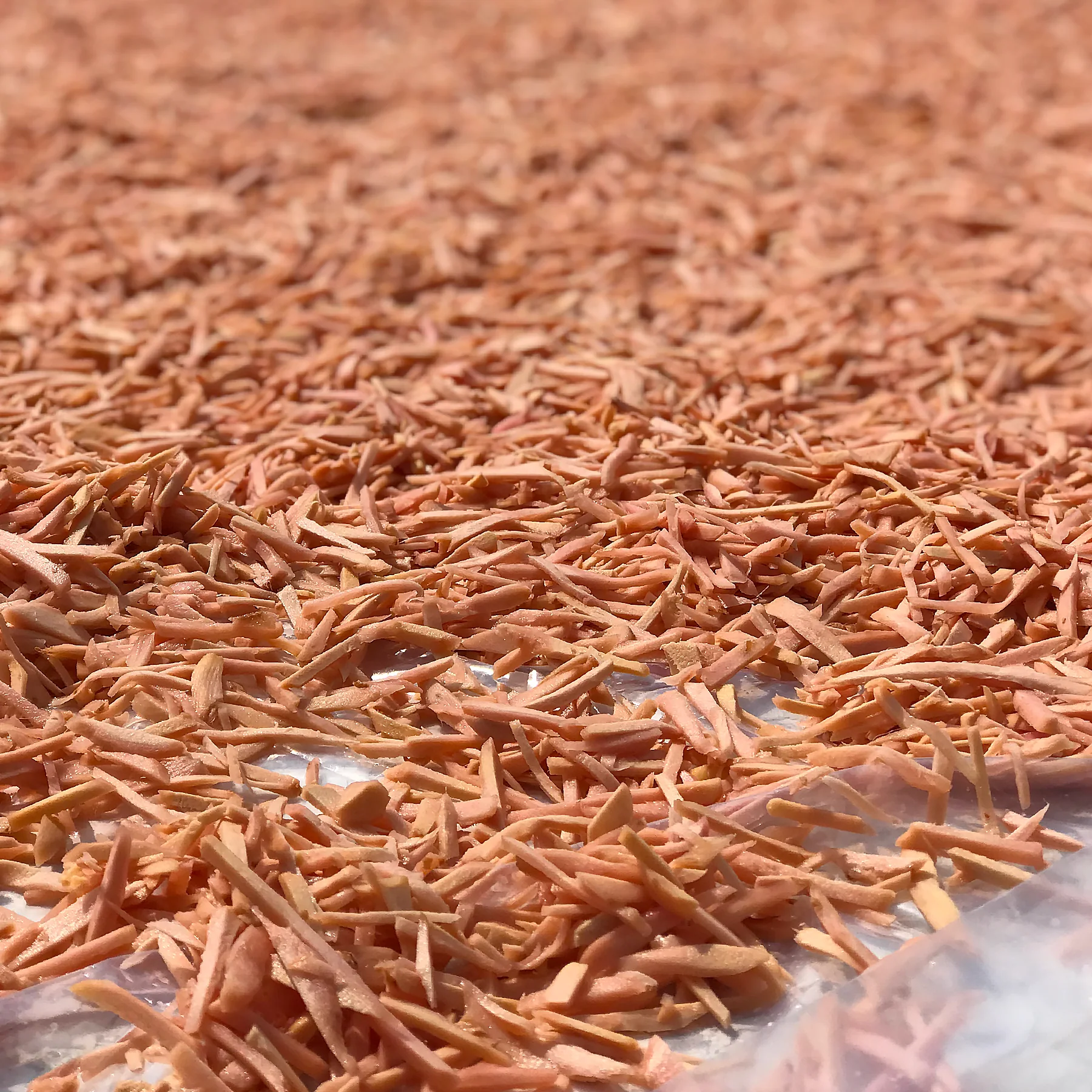 Chatpata Ginger Crisps Mukhwas - Image 5