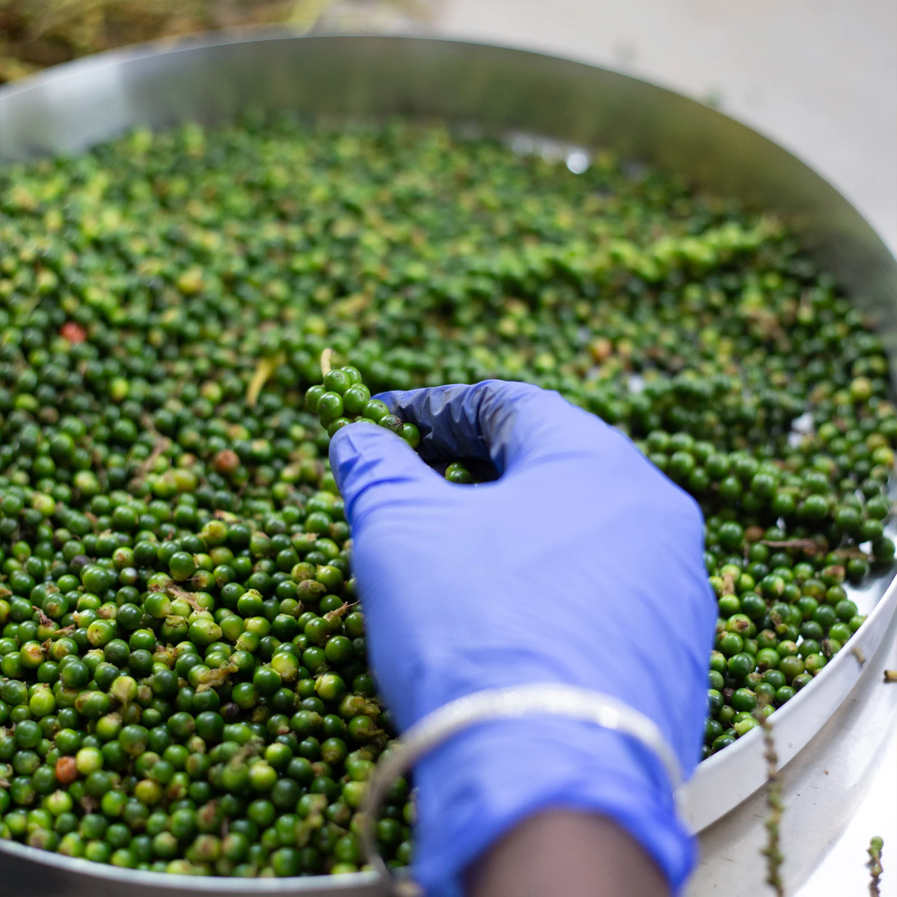 Pineapple Green Pepper Pickle - Image 3